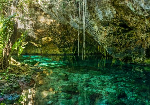 Grand Cenote. This is one of the most famous cenotes in Mexico.